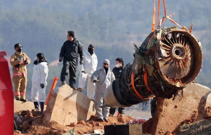 South Korea crash: investigators remove Boeing wreckage