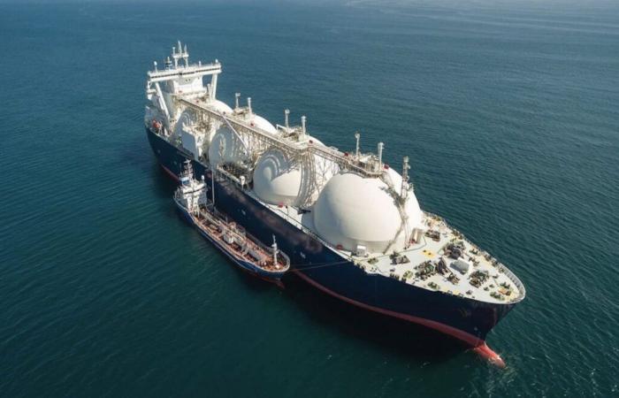 Tunisia – Increase in gas demand: 12 ships scheduled to avoid any shortage