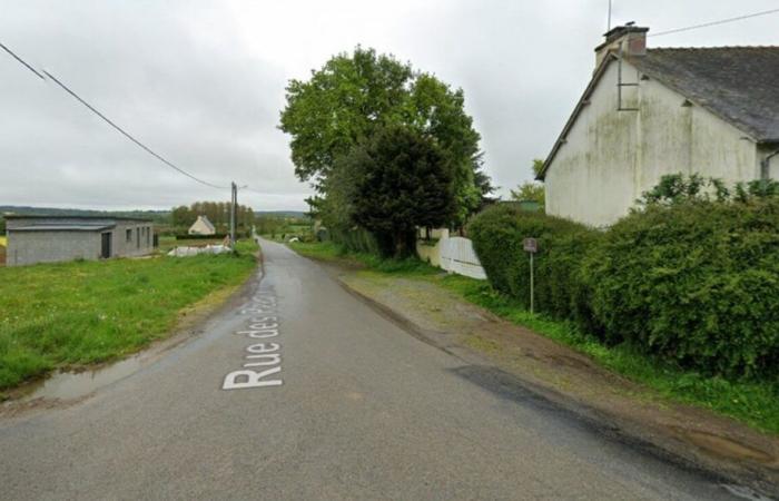 these houses will be sold at auction below market prices