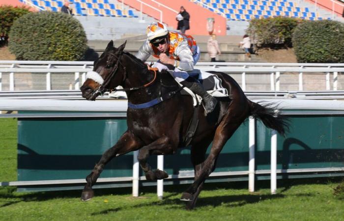 three listeds on the sidelines of the Grand Steeple