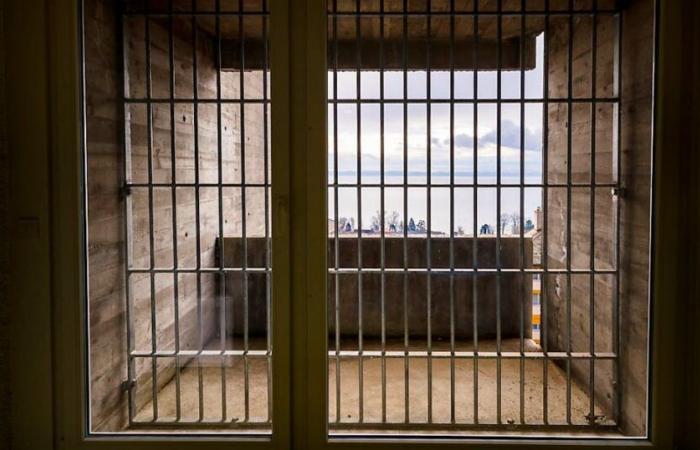 Happy New Year!: Drunk, he opens the cells of a prison: 13 inmates in the wild