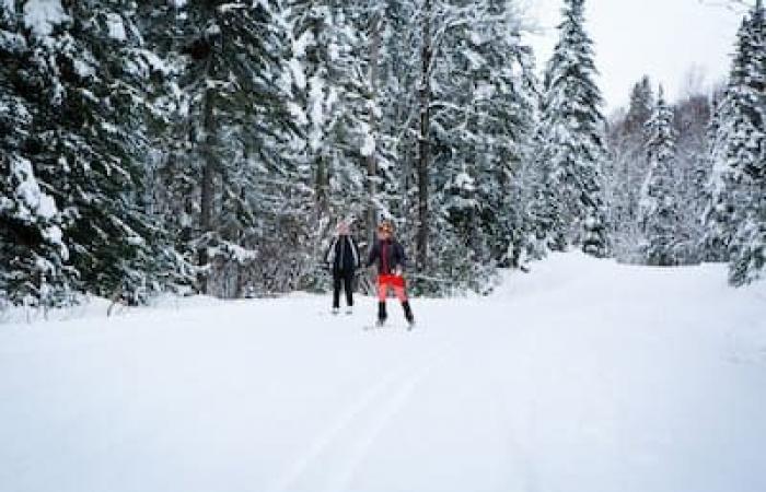 Cross-country skiers were not spoiled during the holiday season: the vast majority of cross-country ski trails closed in Quebec and Montreal