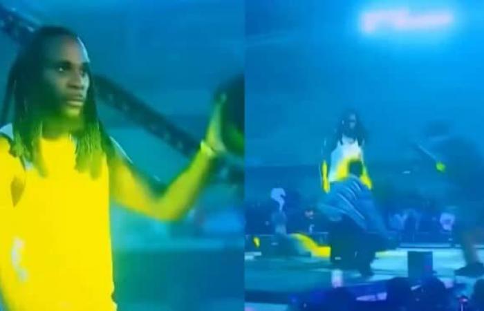 Burna Boy Furious, He Leaves Stage After Fan Jumps On Him