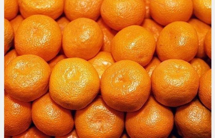 European tangerine market facing high prices and low supply