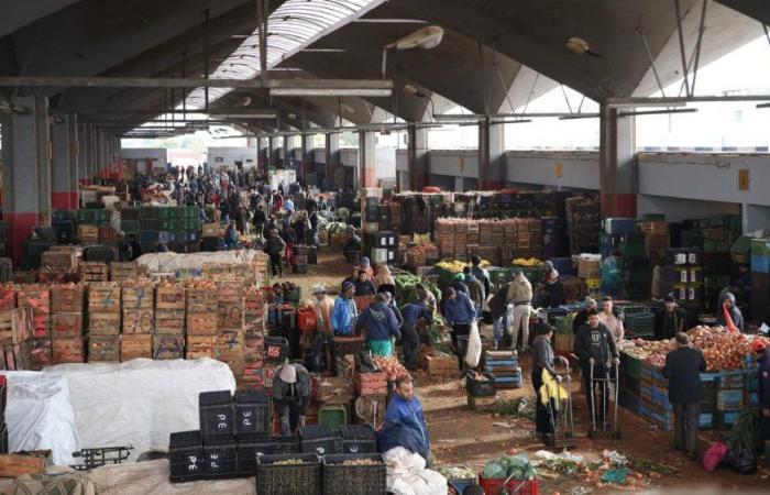 Wholesale prices of fruits, vegetables and meat almost stable in Casablanca