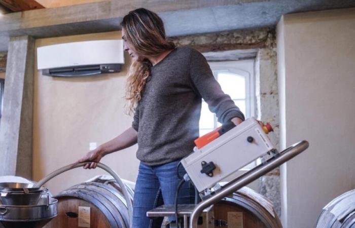 Cécile Giorza, the only winemaker – vinegar maker in France