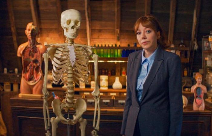 “Life According to Cunk”, the fake documentary of which it is “impossible not to be a fan”