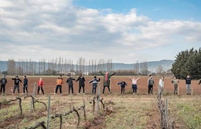 Children sow the future by planting 400 trees with a farmer in Gers