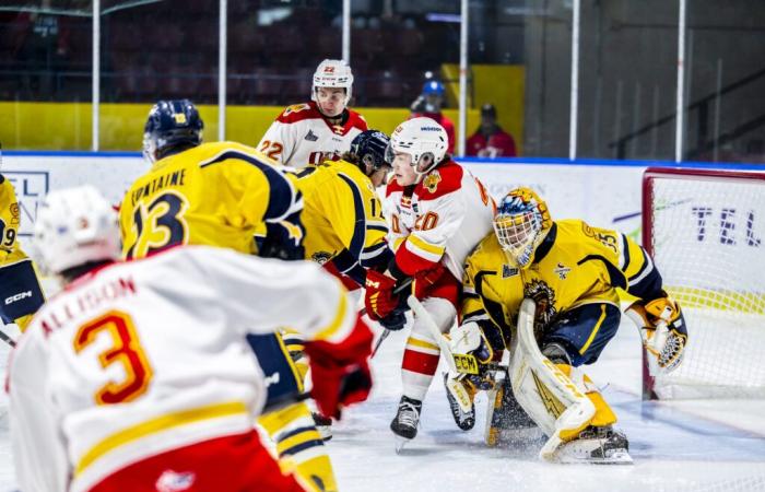 Gridin, Fontaine and Hamel shine in Baie-Comeau