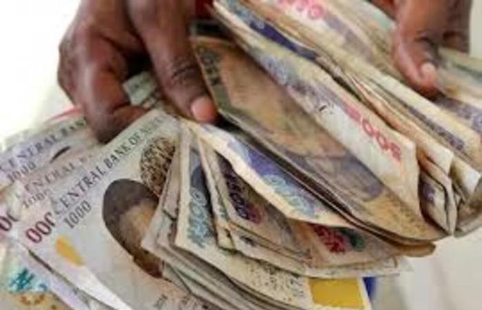 Nigeria: the naira defies market reforms and falls by 41% in 2024 | APAnews