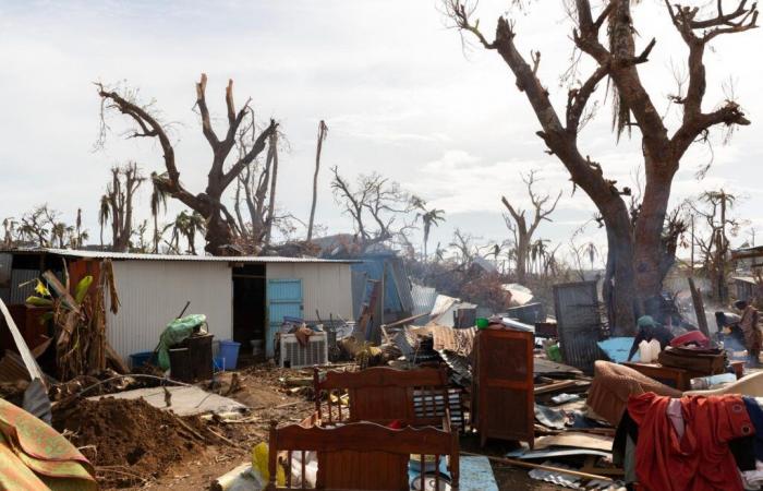 Should we “prevent the reconstruction of slums” in Mayotte? François Bayrou's promise is debated