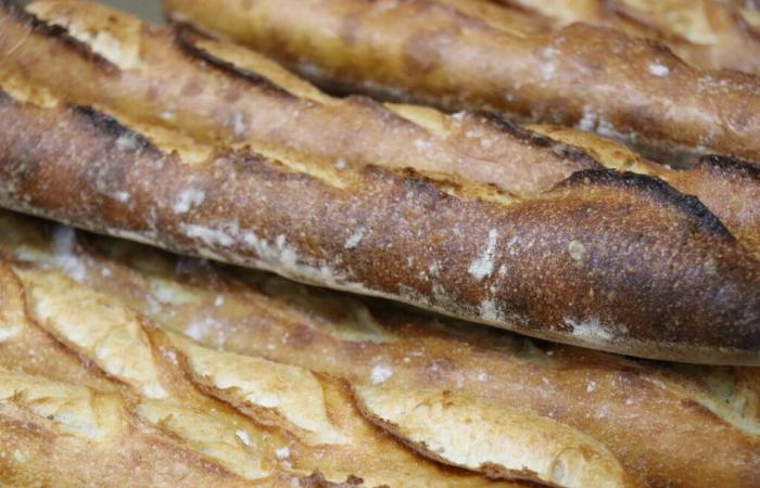 In this commune in Hauts-de-Seine, transform your stale bread into a source of energy