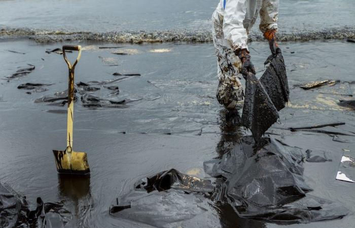 an ecological and energy disaster hits Crimea