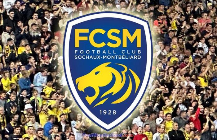 FC Sochaux-Montbéliard contests match sanction behind closed doors