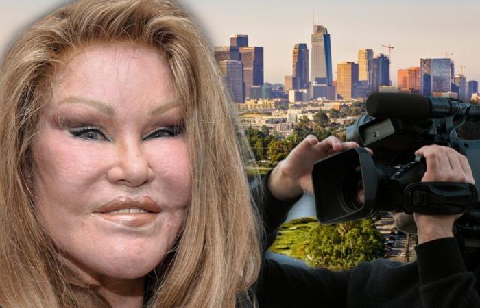 ‘Catwoman’ Jocelyn Wildenstein Filmed Reality Show Before Death