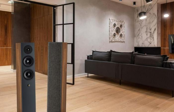 These Davis Acoustics floorstanding speakers see their price drop to the lowest with this huge promotion!