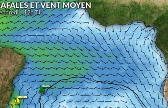 Weather Vendée Globe: finally time to go out for Charlie Dalin and Yoann Richomme