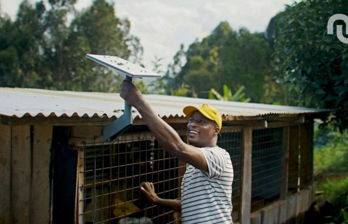 Disaster in Mayotte: Starlink gave France a little favor