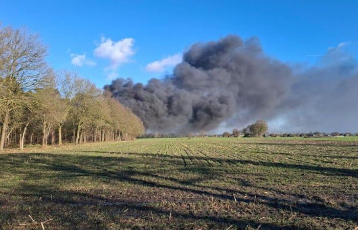 Serious fire at Punch in Hamont: police close streets, plume of smoke visible from afar (Hamont-Achel)