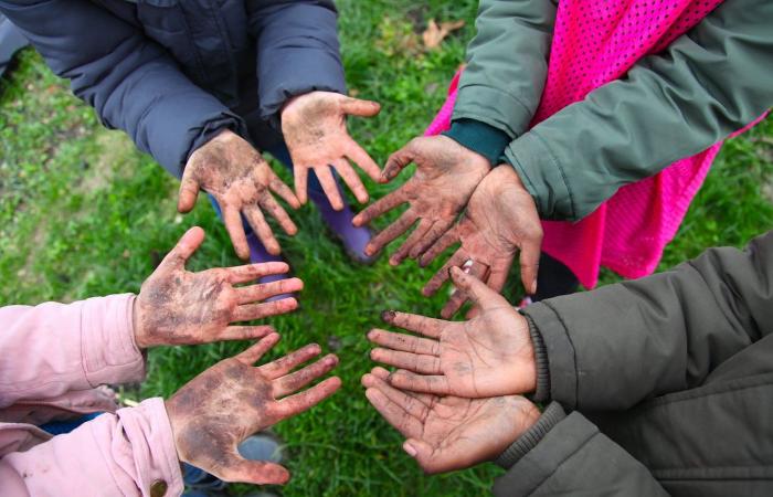 Children sow the future by planting 400 trees with a farmer in Gers