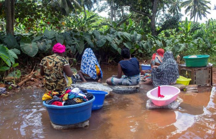 Mayotte: the specificities of the archipelago in 8 questions