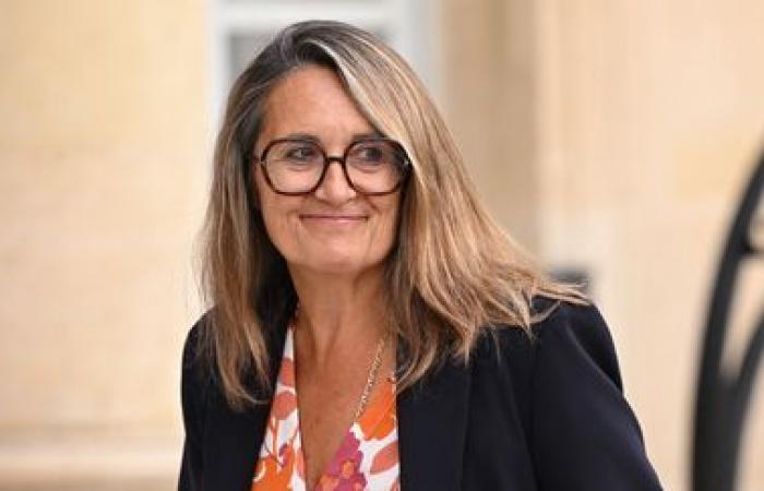 Who is Sophie Primas, the new government spokesperson who strongly criticized François Bayrou?