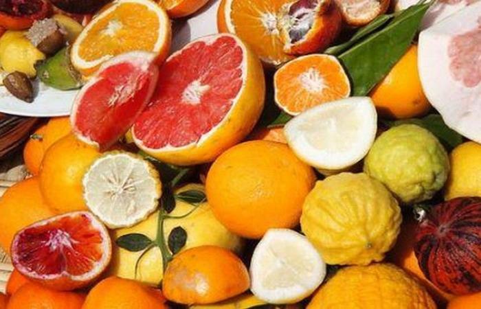 Citrus exports from Morocco growing strongly: +31% expected for the 2024/2025 campaign – VivAfrik