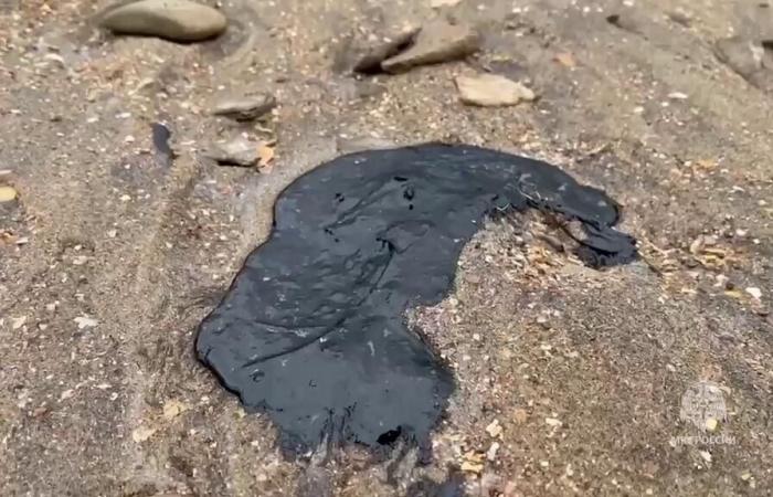 The oil spill in Russia following the sinking of two oil tankers extends to Sevastopol