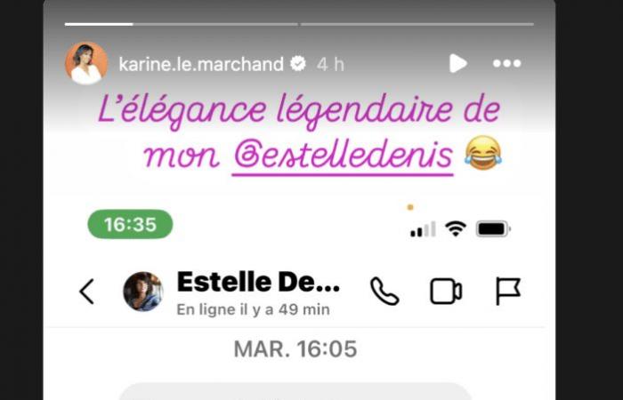 “Ass in your wishes”: the very crude message from Estelle Denis sent to Karine Le Marchand