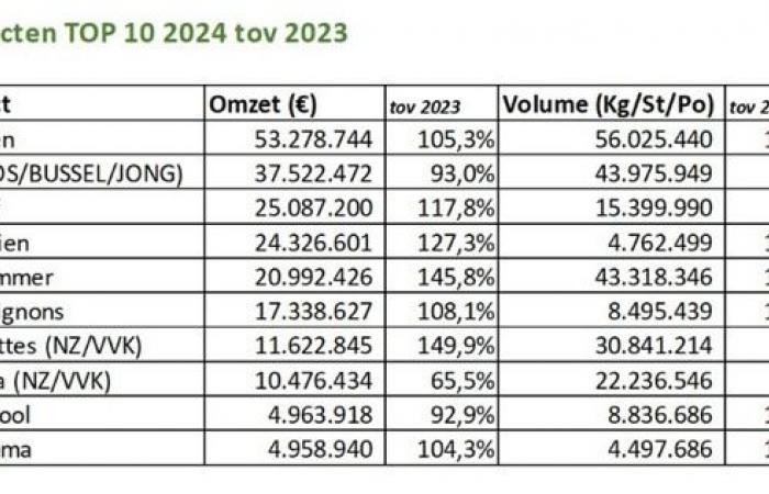 Record sales in 2024 for REO Veiling (Belgium) despite lower volumes