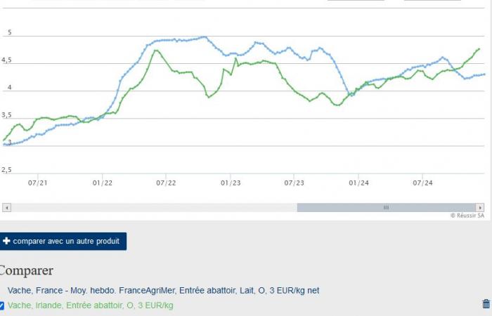 Dairy cows: Irish prices exceed French prices