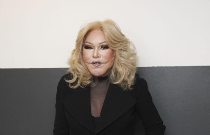 Jocelyn Wildenstein, the “cat woman”, under arrest at the time of her death?