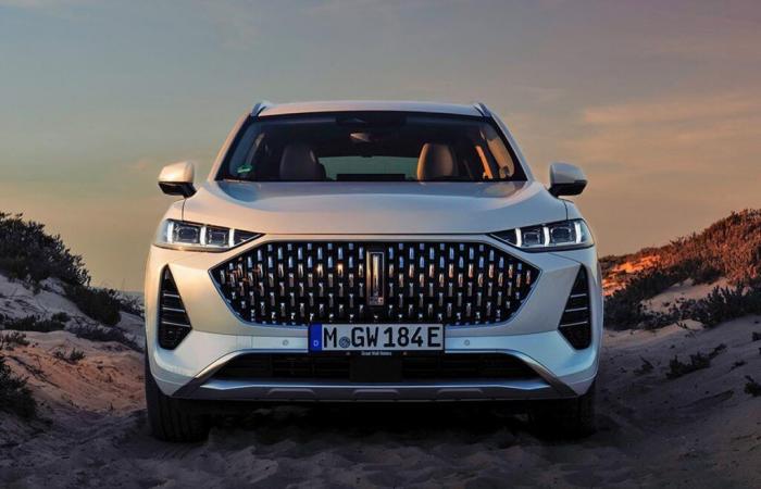 Dramatic twist: hybrid SUVs dethrone electric in European luxury