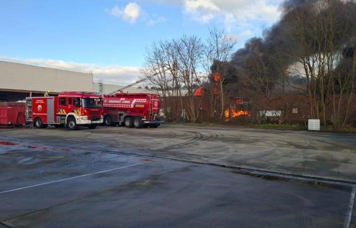 Serious fire at Punch in Hamont: police close streets, plume of smoke visible from afar (Hamont-Achel)