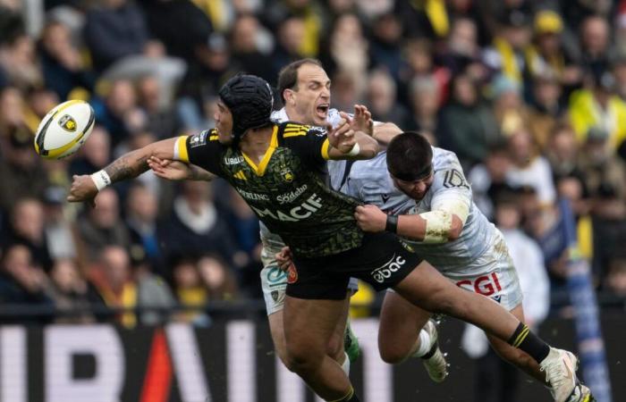 Stade Rochelais – Toulouse: less and less shy, Ulupano Seuteni is a beacon for the Maritimes