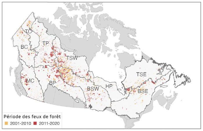 More intense forest fires in the north of the country, according to a study