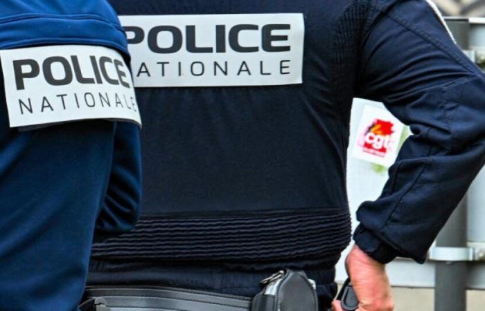 Drôme: the police launch a call for witnesses after the worrying disappearance of a mother and her son: News