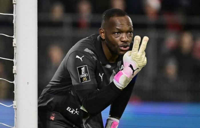 Stade Rennais comes to the aid of Steve Mandanda