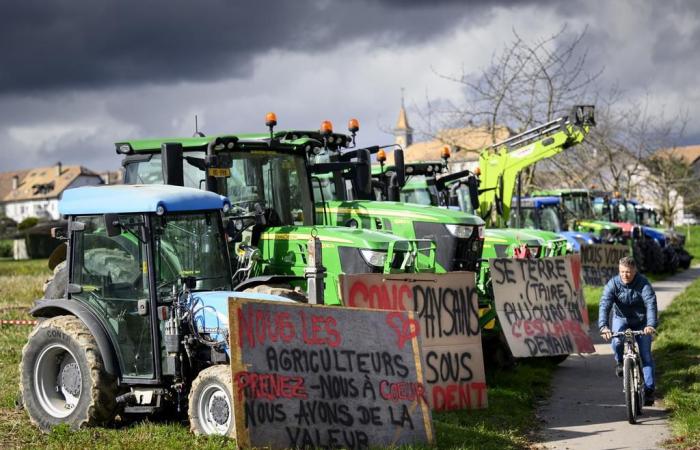 Switzerland: farmers still concerned about income in 2025