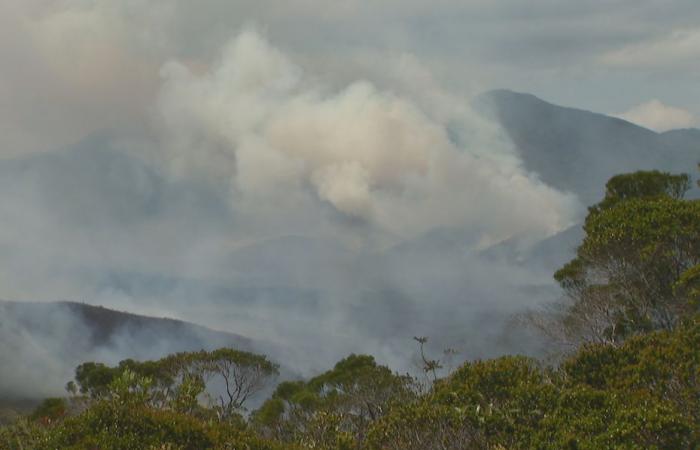 three days after the disaster, a thousand hectares devastated by flames, the mayor of Mont-Dore prohibits access to the area