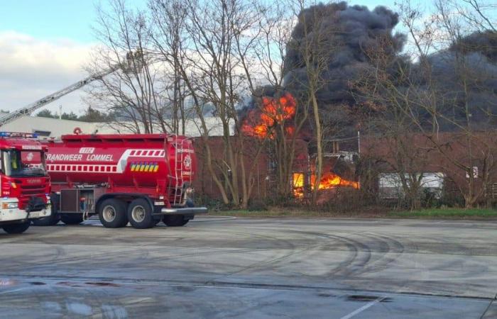 Serious fire at Punch in Hamont: police close streets, plume of smoke visible from afar (Hamont-Achel)