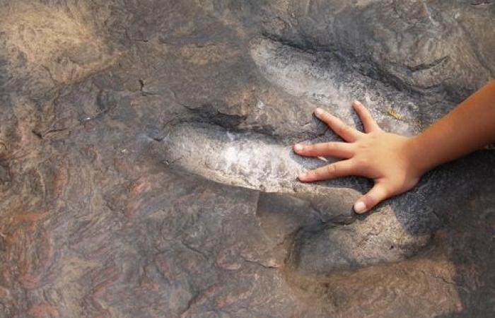 Extraordinary discovery: traces of giant dinosaurs dating back 166 million years in England