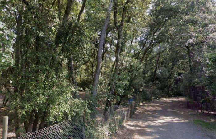 A couple from Vendée prevented from building their house because of the roots of their trees