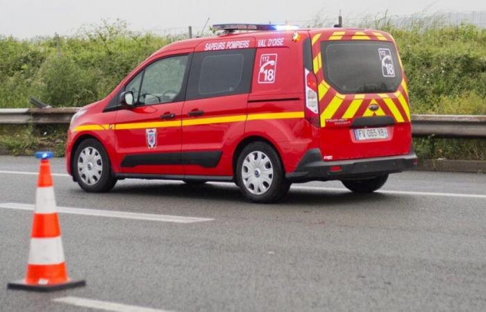 Pas-de-Calais. A vehicle takes the A16 motorway in the wrong direction: two deaths