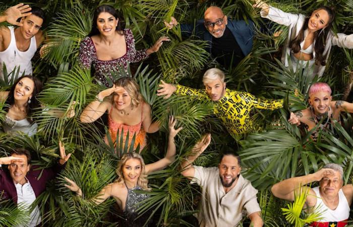 Jungle camp 2025: RTL throws Yasin Mohamed out of TV-Busch! | Entertainment