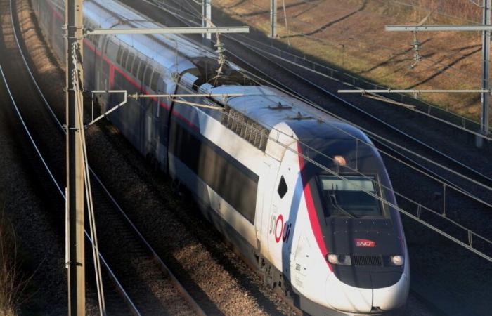 “You are the shame of the country”: almost 12 hours late for a Clermont-Nevers-Paris train