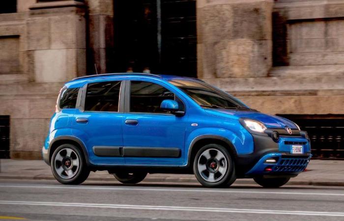 Fiat: without the Fiat Panda, the brand no longer exists in Italy – 2024 figures