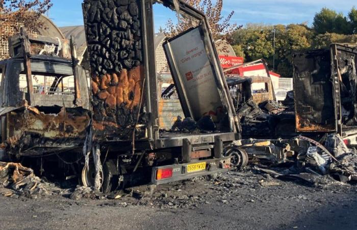 THE RETRO Trucks burned, Cora replaced, government censored and crocodile released