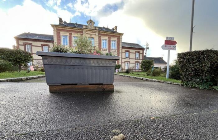 How this town in Seine-Maritime declares war on dog droppings