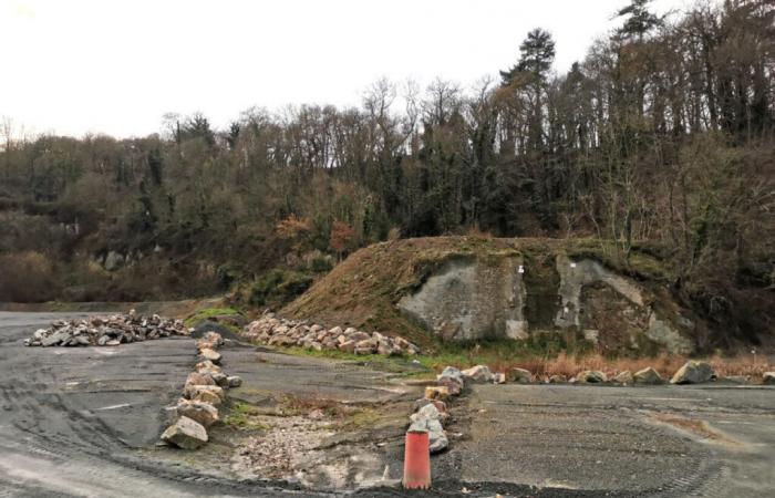 nature will reclaim its rights in this quarry currently being decontaminated